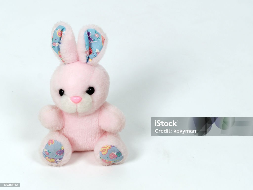 Pink Bunny Rabbit Pink Bunny Rabbit On White Background. Animal Stock Photo