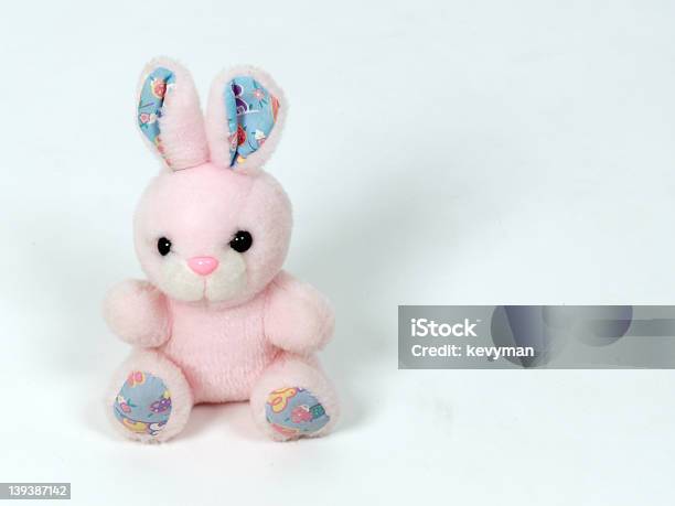 Pink Bunny Rabbit Stock Photo - Download Image Now - Animal, Animal Hair, Animal Nose