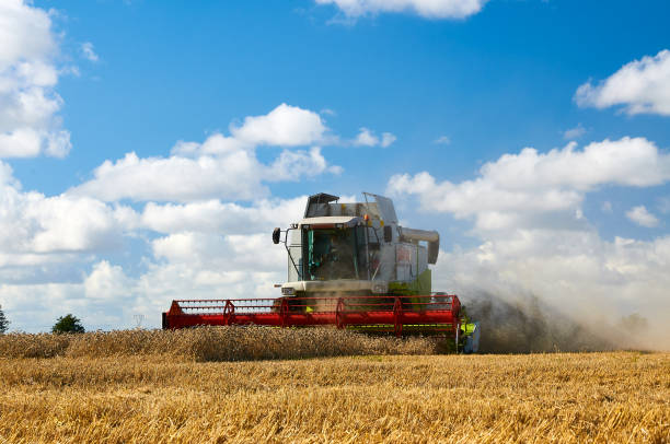 Combine harvester harvesting crops at barley field stock photo