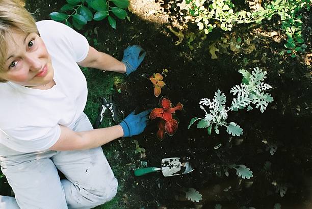 Woman Gardening