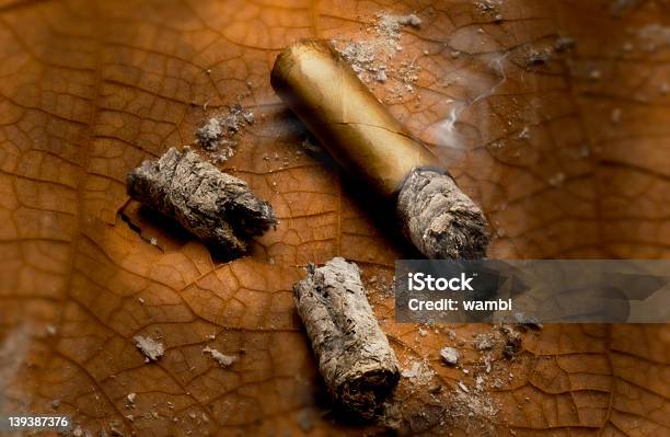 Cigar00 시가에 대한 스톡 사진 및 기타 이미지 - 시가, 재, 버지니아-미국 주