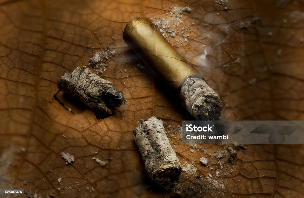 Cigar_00 - Royalty-free Charuto Foto de stock