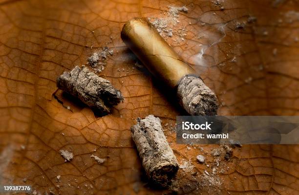 Cigar00 - Fotografias de stock e mais imagens de Charuto - Charuto, Cinza, Virgínia - Estado dos EUA