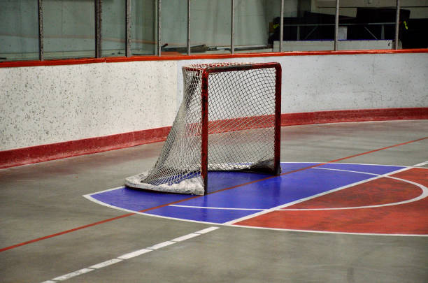 istock Ball Hockey Net 1393874589