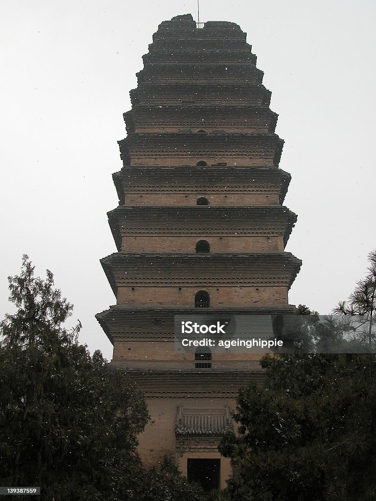 Little Wild Goose Pagode, Xi'an,, China - Foto de stock de Animal selvagem royalty-free