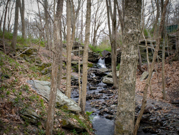 istock Fast flowing brook in the rhode island woods 1393875743