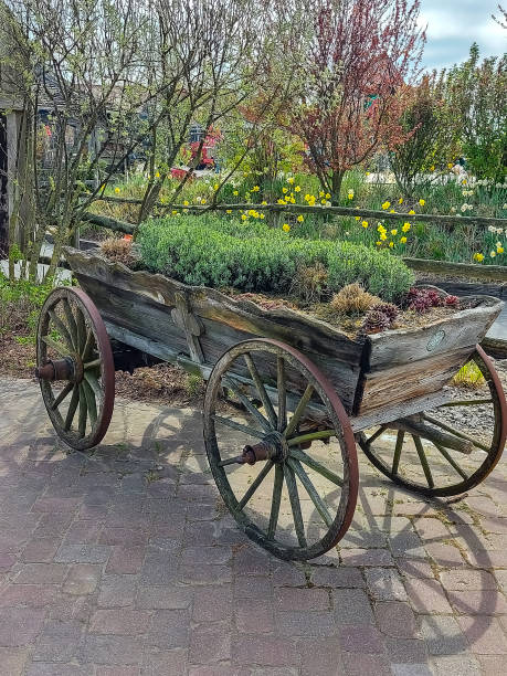 istock Decoration, old cart planted with flowers 1393876253