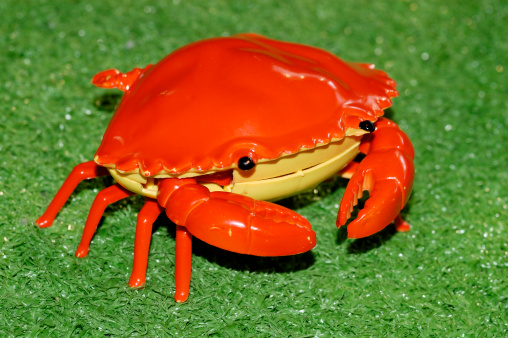 fake crab on the fake grass