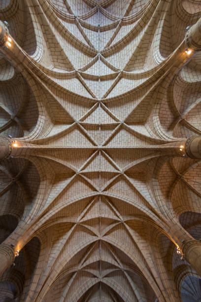 Ceiling of the Primate Cathedral of America stock photo