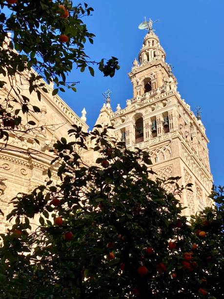 istock Spain - Andalusia- Seville 1393877325