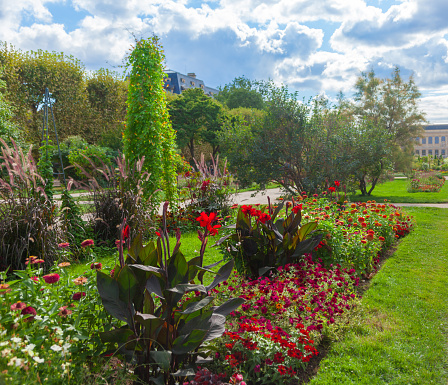 Flowers bloom in Jardin des Plantes, Paris, France