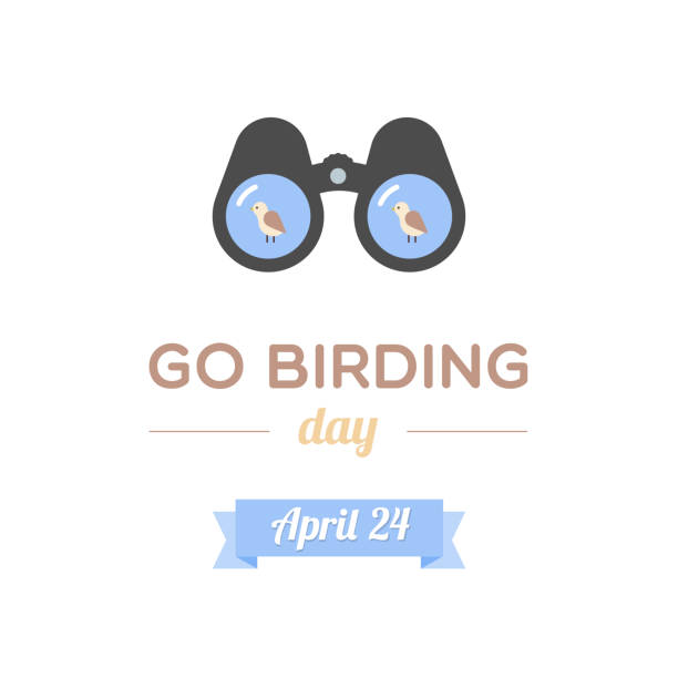 ilustrações, clipart, desenhos animados e ícones de dia do pássaro. 24 de abril. binóculos com pássaros. ilustração vetorial, design plano - observação de pássaros