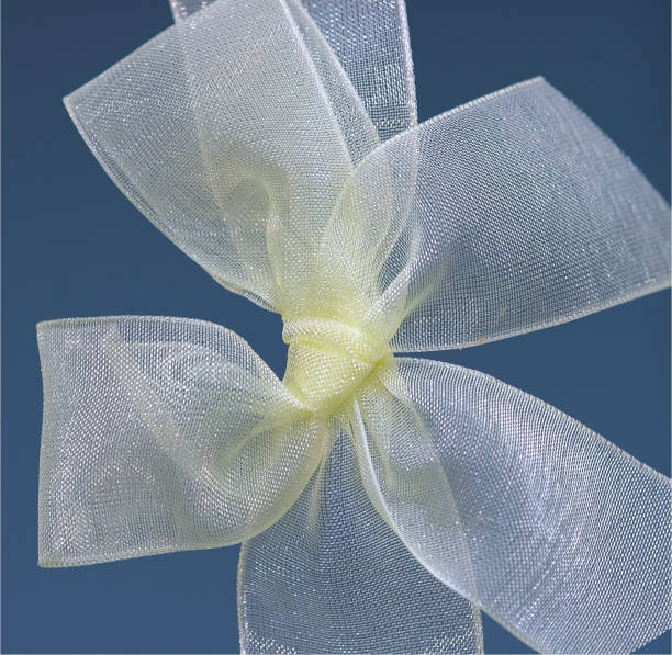 Silk Bow stock photo