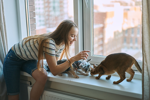 Young woman playing with a dog and a cat on a day off at home. The joy of having pets