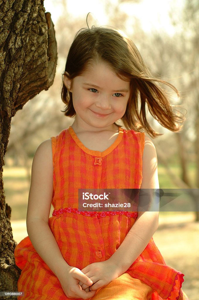 Brown Haired Girl Preschool girl sitting in a tree blushing Animal Hair Stock Photo