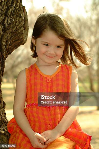Brown Haired Girl Stock Photo - Download Image Now - Animal Hair, Beautiful People, Beauty