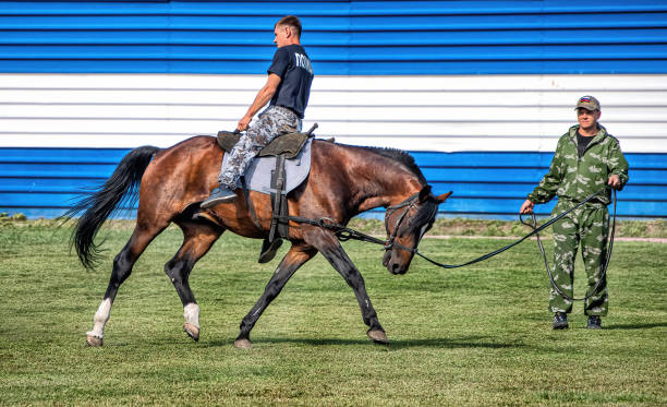 A policeman riding a horse: Abakan, Russia - August 21, 2018