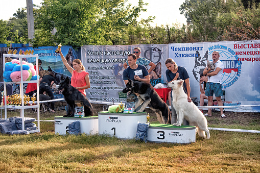 The winners of a dog show presented with cups and gifts: Abakan, Russia - August 19, 2018