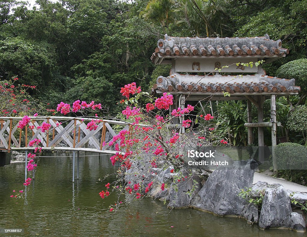 Oriental pittoresque - Photo de Carpe Koï libre de droits