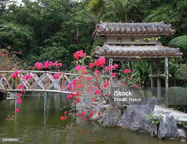 Cênica Oriental - Fotografias de stock e mais imagens de Ao Ar Livre - Ao Ar Livre, Carpa espelho, Flor