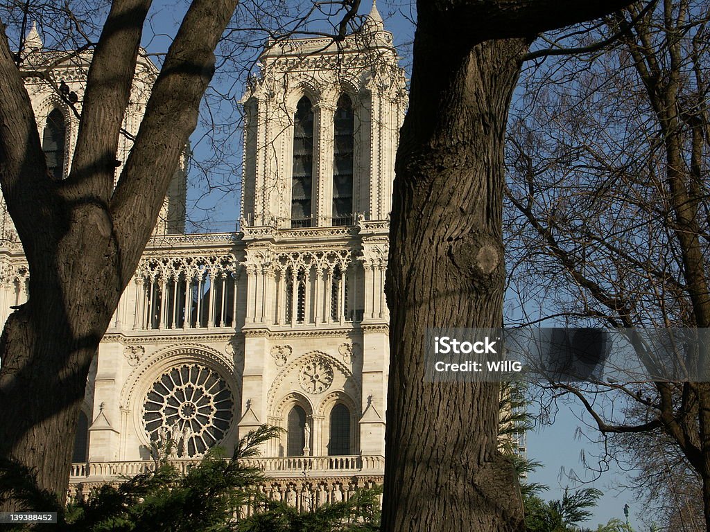 Notre-Dame w Paryżu - Zbiór zdjęć royalty-free (Bez ludzi)
