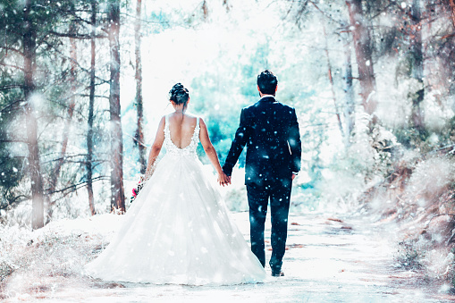 Wedding couple posing in forest under snow.
