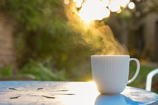 Mug with hot drink of tea or coffee in the morning sunlight