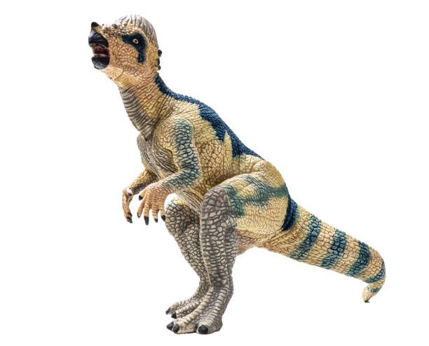 istock Pachyrhinosaurus  ,  dinosaur on isolated background .Clipping path 1393889926