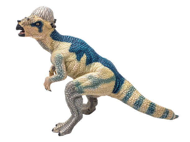 istock Pachyrhinosaurus  ,  dinosaur on isolated background .Clipping path 1393889927