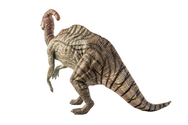 istock Parasaurolophus Dinosaur on white background . Clipping path 1393891093