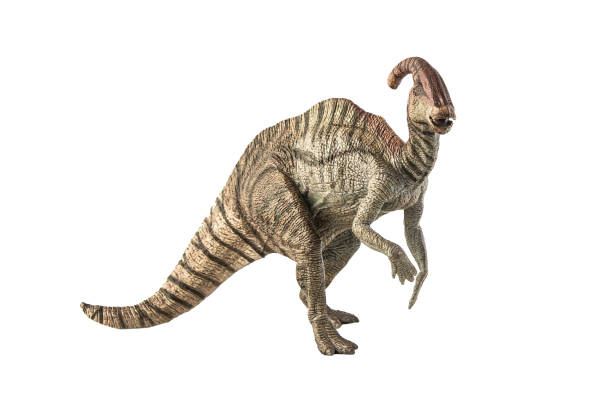 istock Parasaurolophus Dinosaur on white background . Clipping path 1393891111