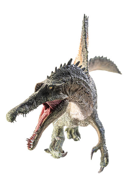 istock Spinosaurus , dinosaur on white background . Clipping path 1393894733