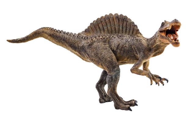 istock Spinosaurus , dinosaur on white background . Clipping path 1393894878