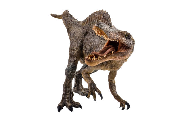 istock Spinosaurus , dinosaur on white background . Clipping path 1393894954