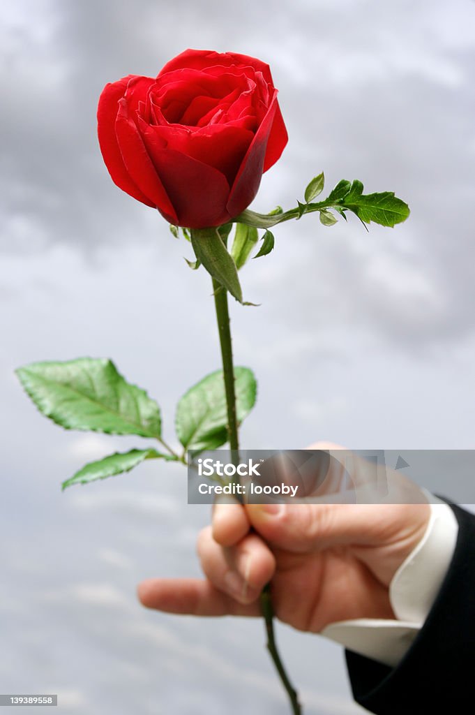 Essere la Valentino - Foto stock royalty-free di Adulto