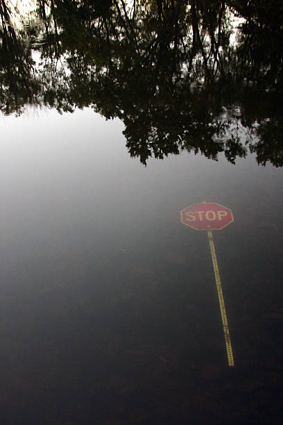 Stop sign in river  with tree reflections stock photo