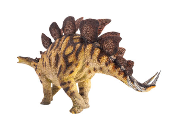 istock Stegosaurus , dinosaur on white background . Clipping path 1393895654
