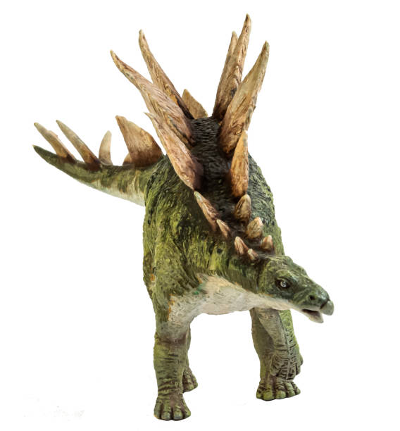 istock Stegosaurus , dinosaur on white background . Clipping path 1393895688