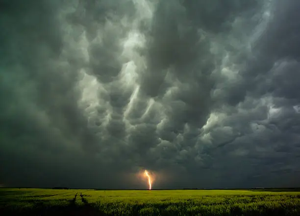 Lightning strike over a Canola field.
