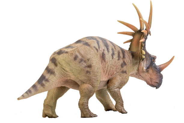 istock dinosaur , Styracosaurus on white background . Clipping path 1393896505