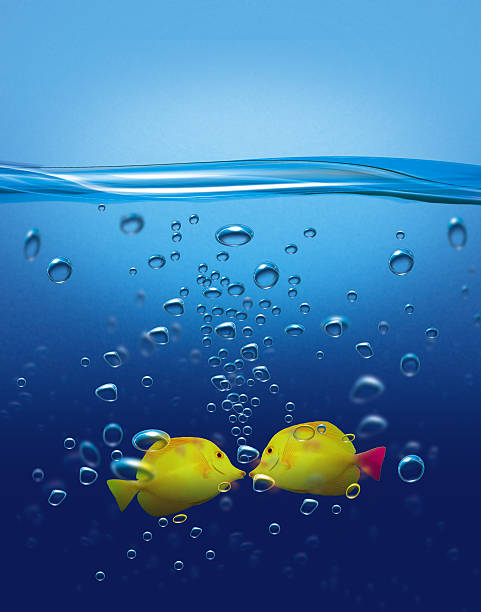Two Fishes in love