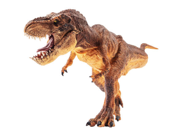 istock Tyrannosaurus T-rex ,dinosaur on white background Clipping path 1393897970