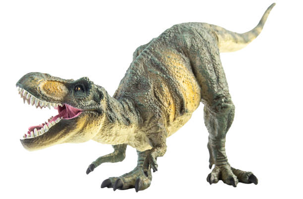 istock Tyrannosaurus T-rex ,dinosaur on white background Clipping path 1393897985