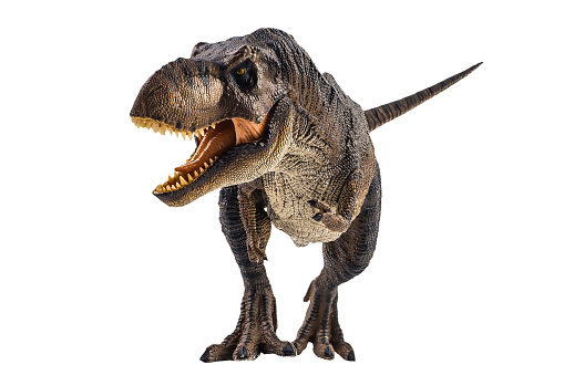 Tyrannosaurus T-rex ,dinosaur on white background Clipping path