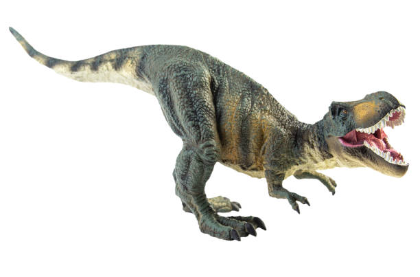 istock Tyrannosaurus T-rex ,dinosaur on white background Clipping path 1393897990