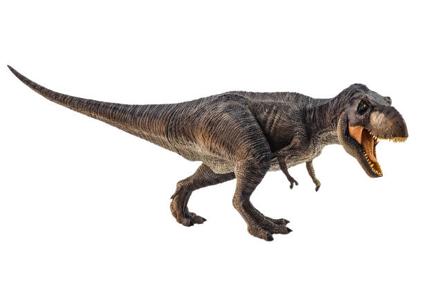 istock Tyrannosaurus T-rex ,dinosaur on white background Clipping path 1393897992