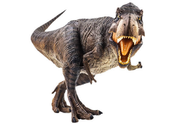 istock Tyrannosaurus T-rex ,dinosaur on white background Clipping path 1393897993