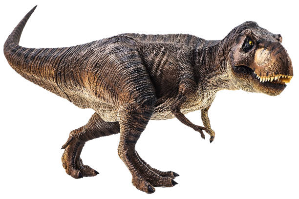 istock Tyrannosaurus T-rex ,dinosaur on white background Clipping path 1393897996