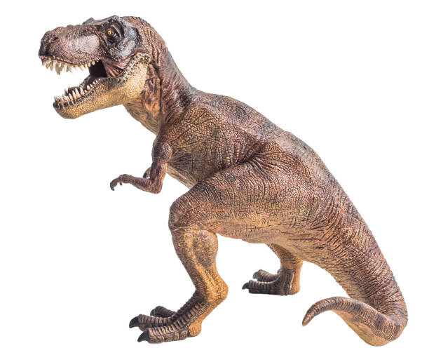 istock Tyrannosaurus T-rex ,dinosaur on white background Clipping path 1393897997