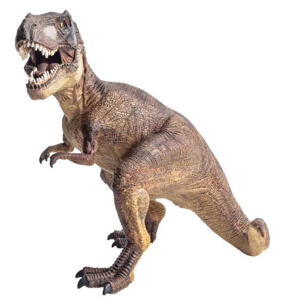 istock Tyrannosaurus T-rex ,dinosaur on white background Clipping path 1393897998